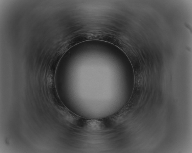 X0000093220226200710031445