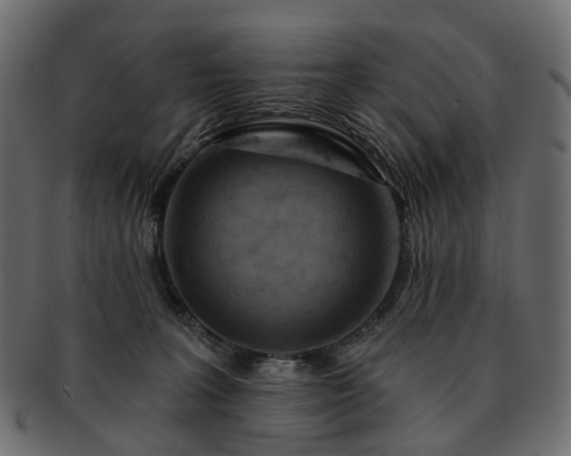 X0000093220227200710031445