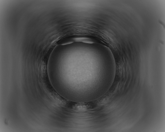 X0000093220228200710031445