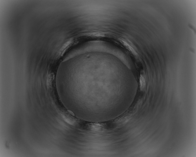 X0000093220229200710031445