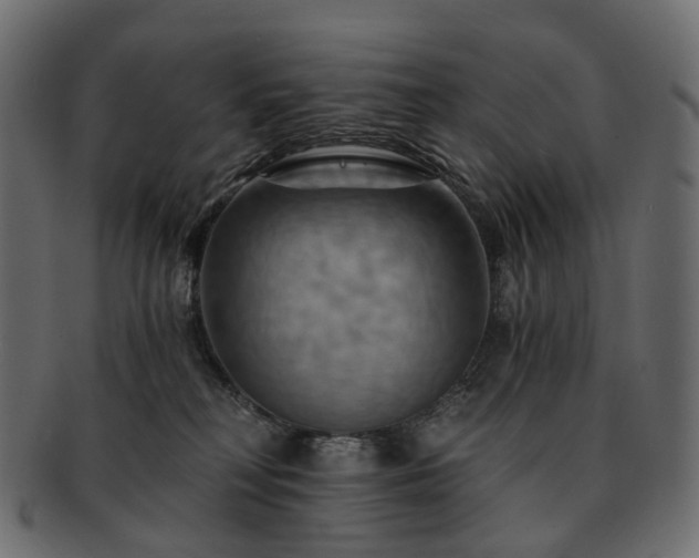 X0000093220230200710031445