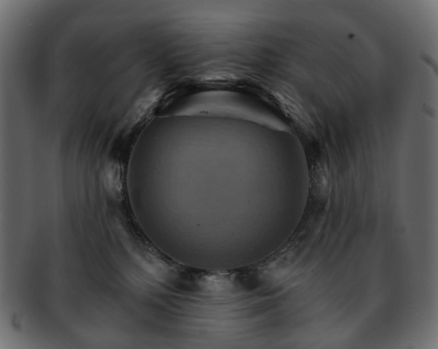 X0000093220232200710031445