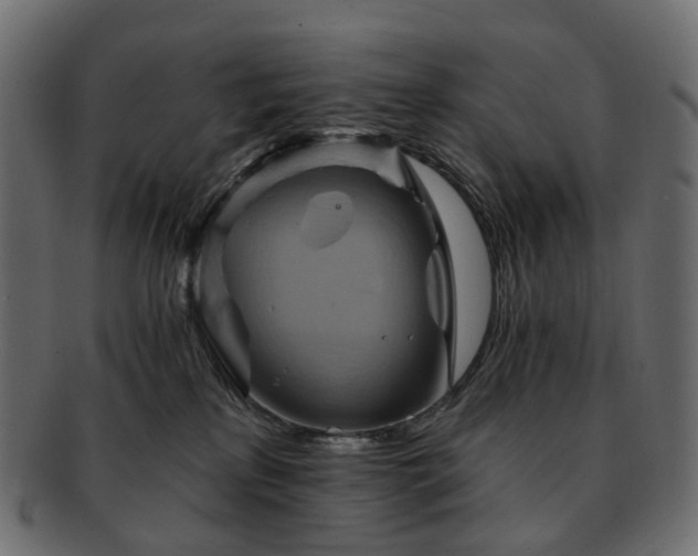 X0000093220233200710031445