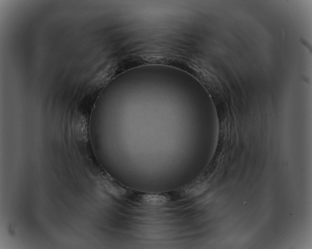 X0000093220234200710031445