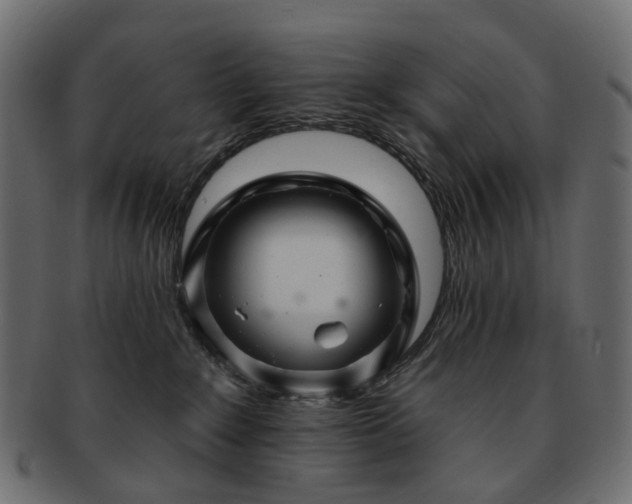 X0000093220235200710031445