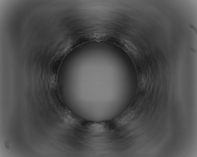 X0000093220236200710031445