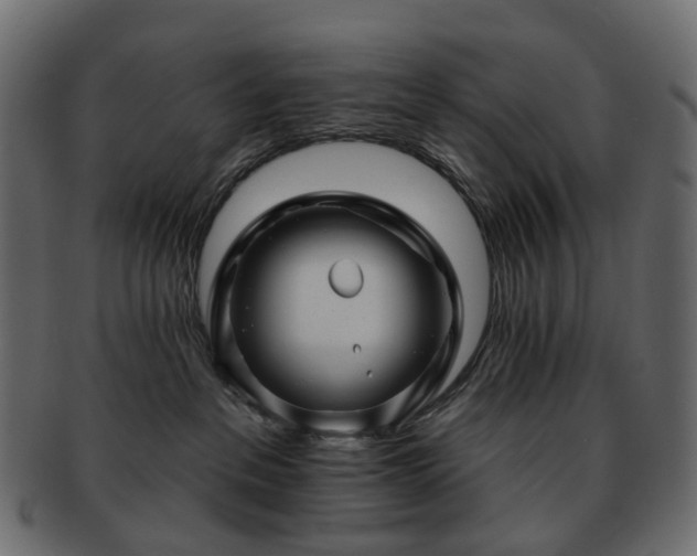 X0000093220237200710031445