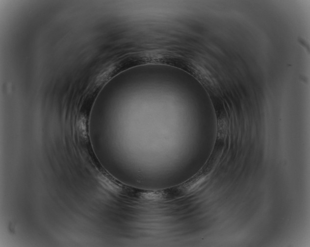 X0000093220238200710031445