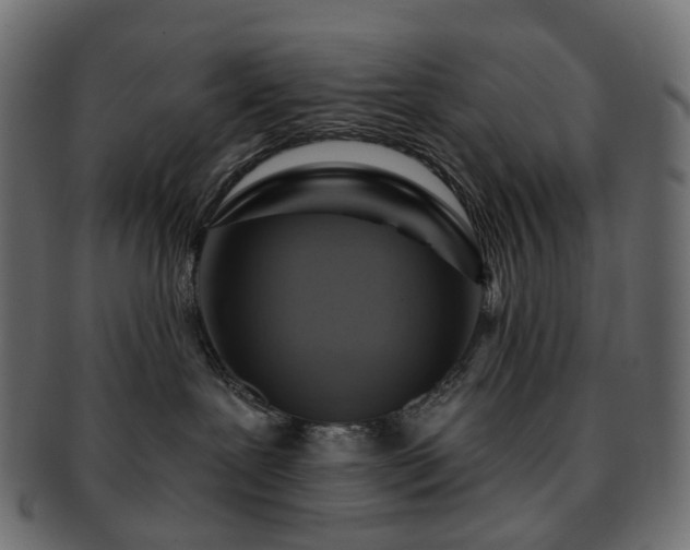 X0000093220239200710031445