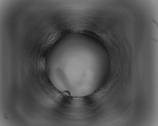 X0000093220240200710031445