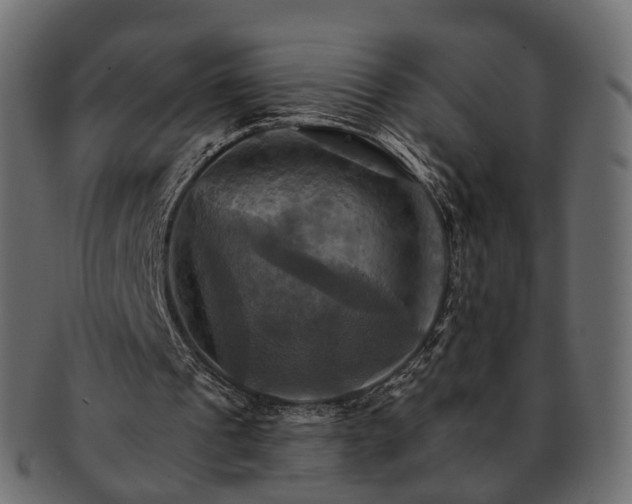 X0000093220241200710031444