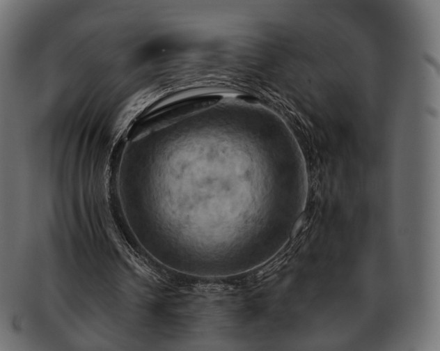 X0000093220242200710031444