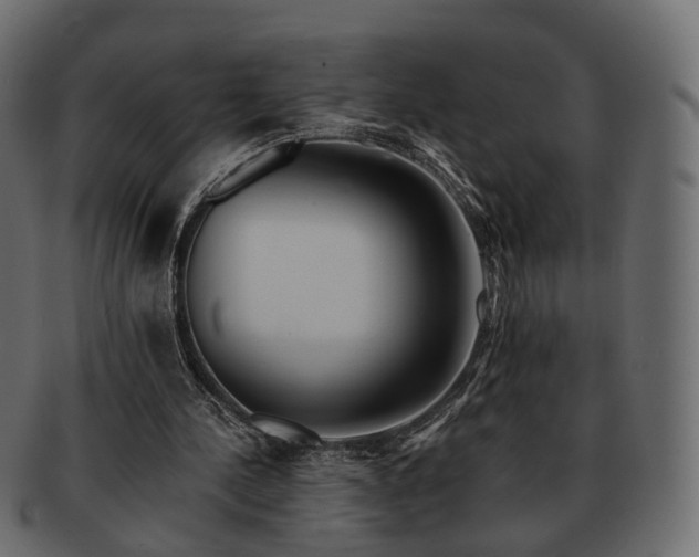 X0000093220244200710031444