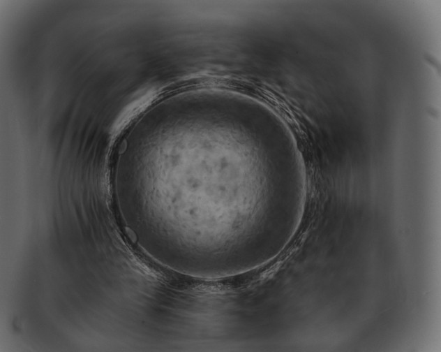 X0000093220245200710031444