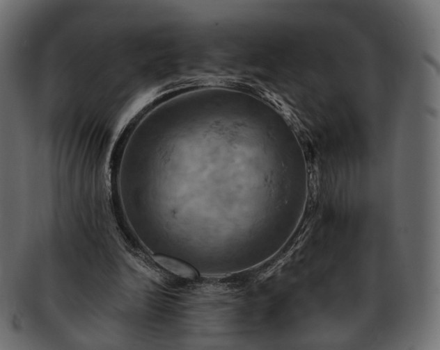 X0000093220246200710031444