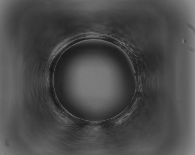 X0000093220247200710031444