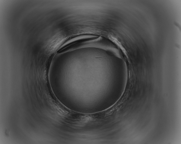 X0000093220249200710031444