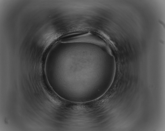 X0000093220250200710031445