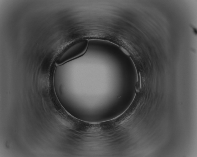 X0000093220252200710031445