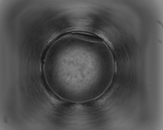 X0000093220253200710031445