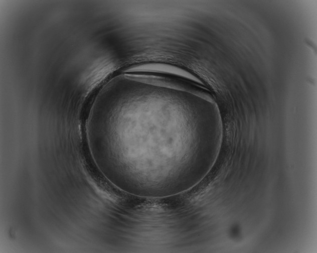 X0000093220254200710031445