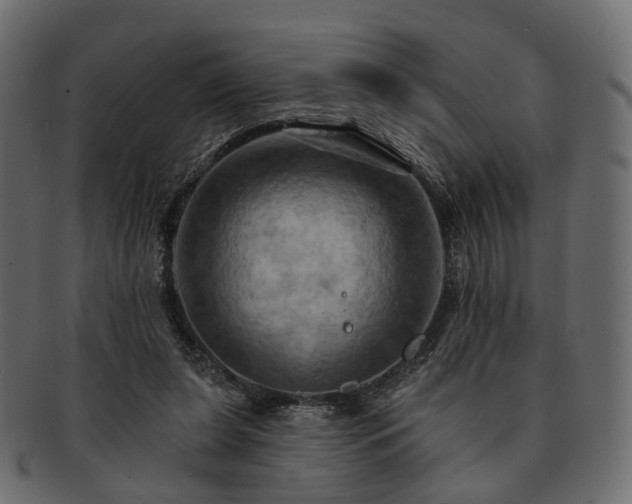 X0000093220255200710031445