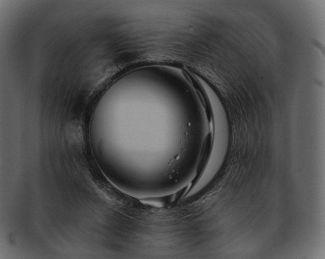 X0000093220256200710031445