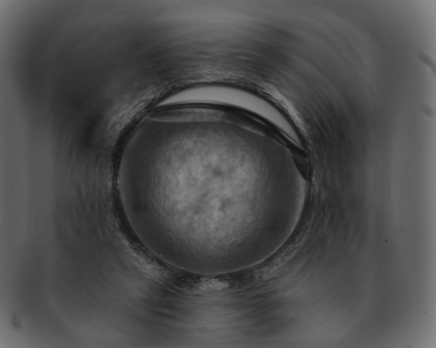 X0000093220257200710031445