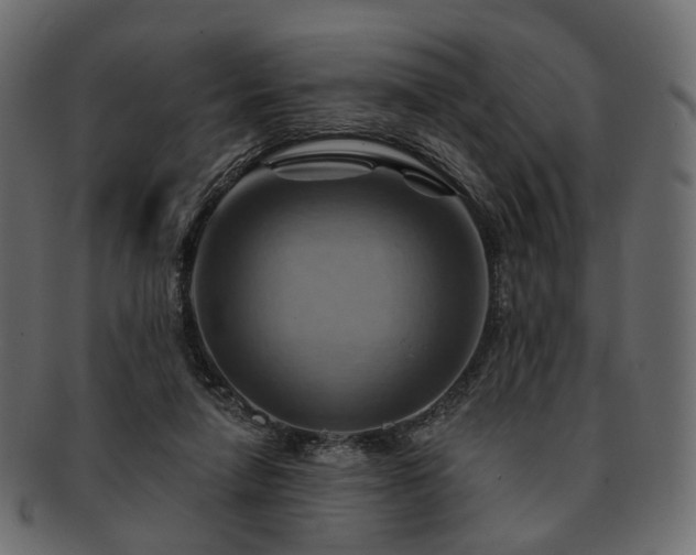 X0000093220258200710031445