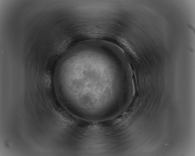 X0000093220259200710031445