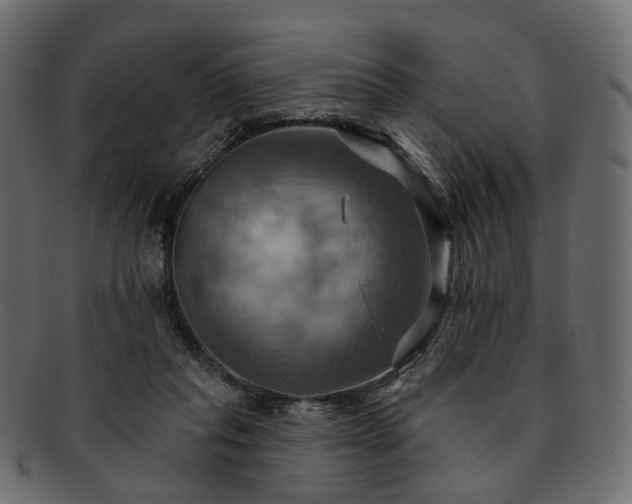 X0000093220261200710031445