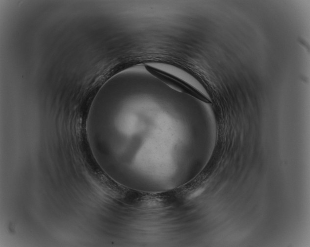 X0000093220263200710031445