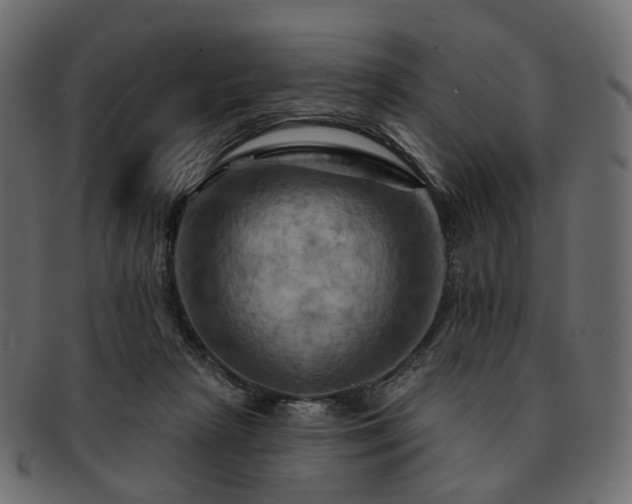 X0000093220265200710031445