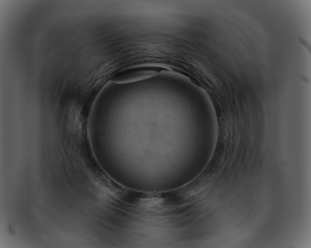 X0000093220266200710031445