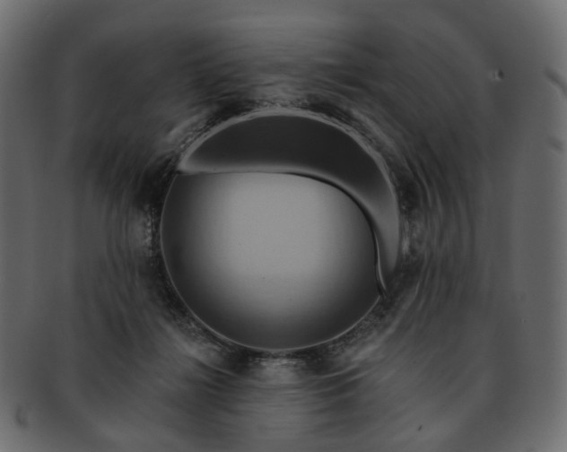 X0000093220268200710031445