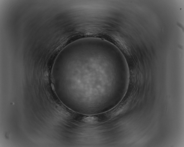 X0000093220269200710031445