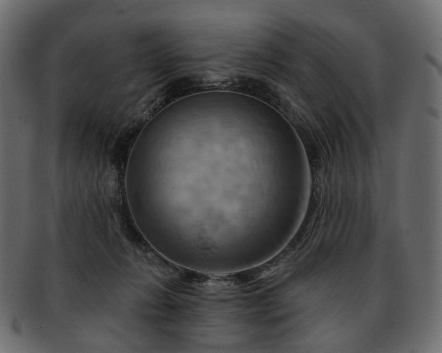 X0000093220270200710031445