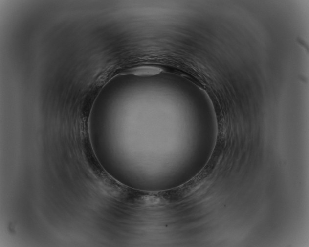 X0000093220272200710031445