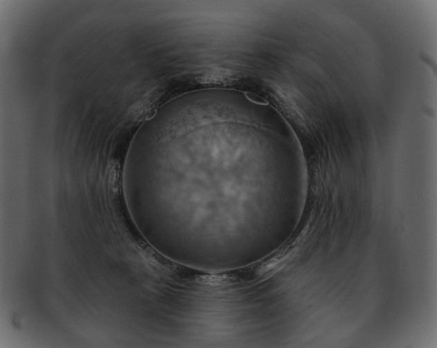 X0000093220273200710031445