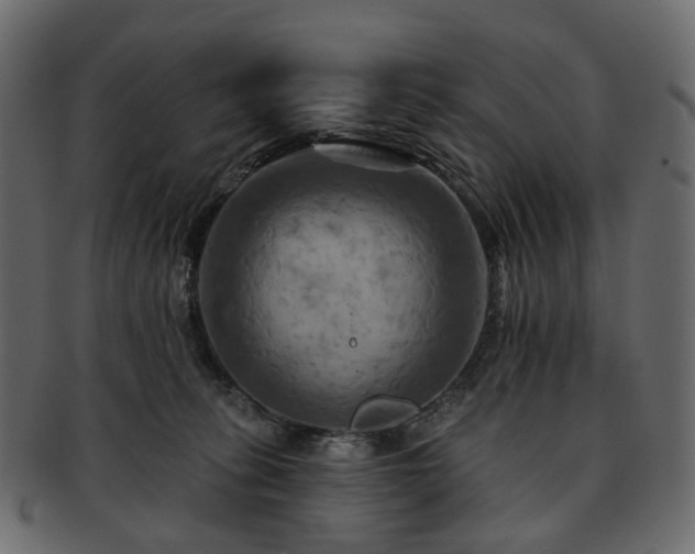 X0000093220275200710031445