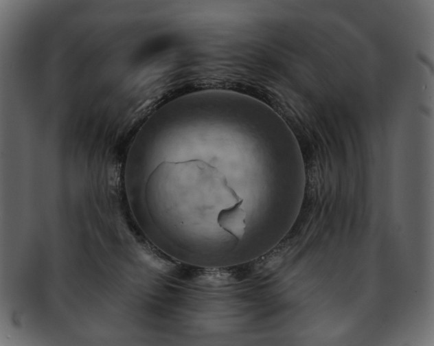 X0000093220278200710031445