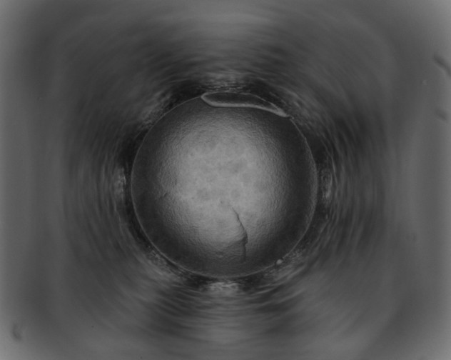 X0000093220279200710031445