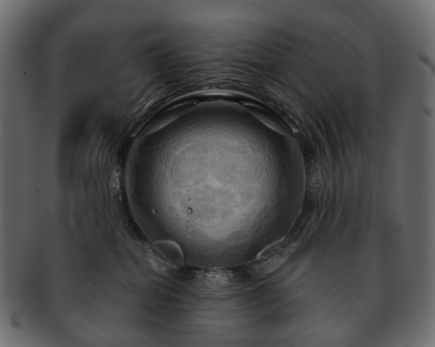 X0000093220282200710031445