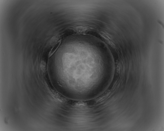 X0000093220283200710031445