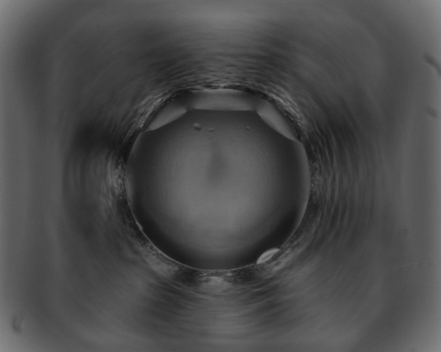 X0000093220285200710031445