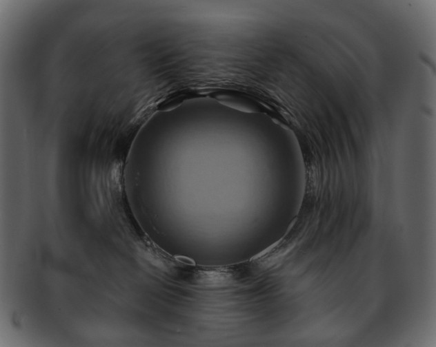 X0000093220286200710031445