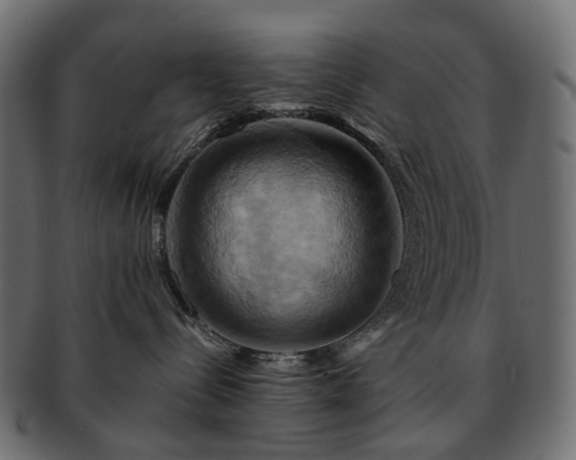 X0000093220288200710031445