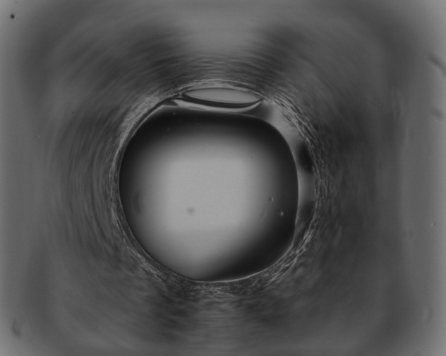 X0000093220289200710031444