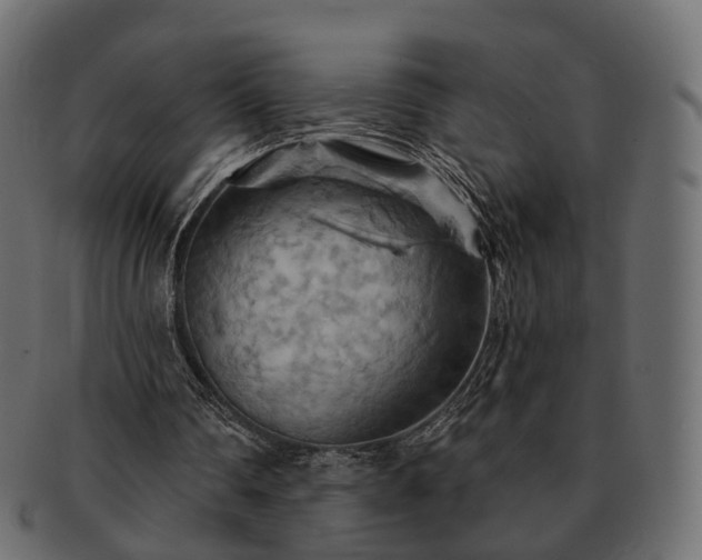 X0000093220290200710031444