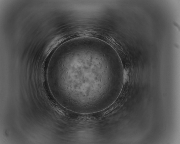 X0000093220291200710031444